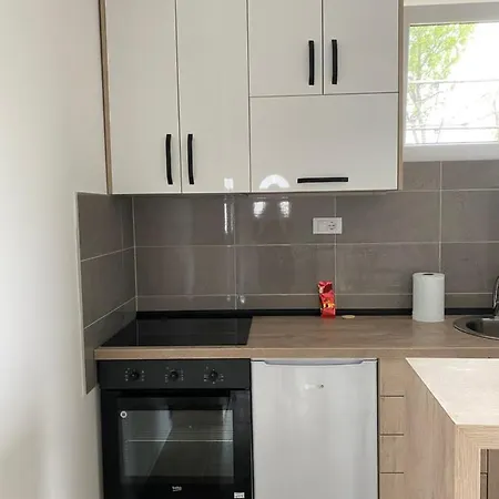 Apartman Milena Temerin Exterior photo
